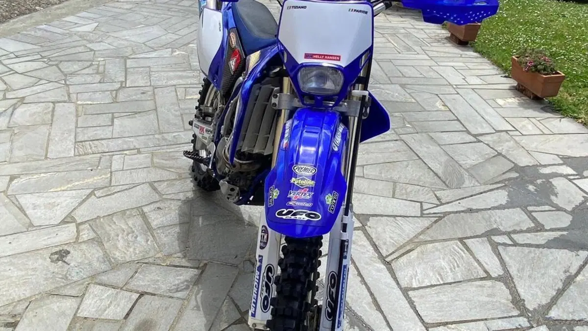 Yamaha WR 250 (2016)  (6)