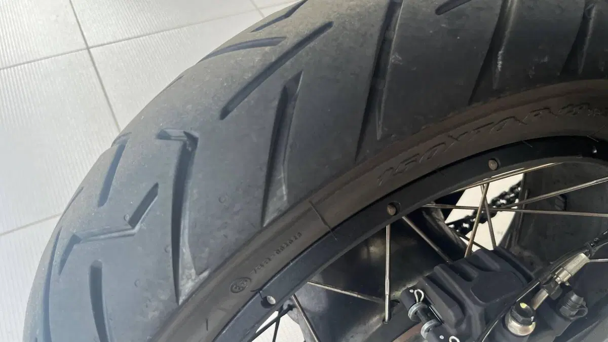 Ducati DesertX (2022 - 25)  (10)