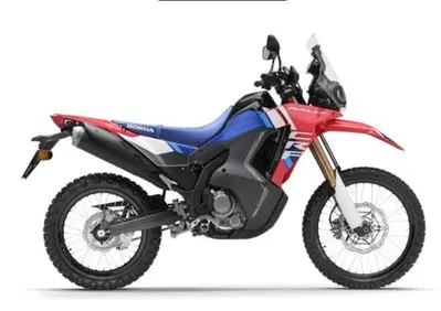 Honda CRF 300 Rally (2025 - 26) - Annuncio 10050788