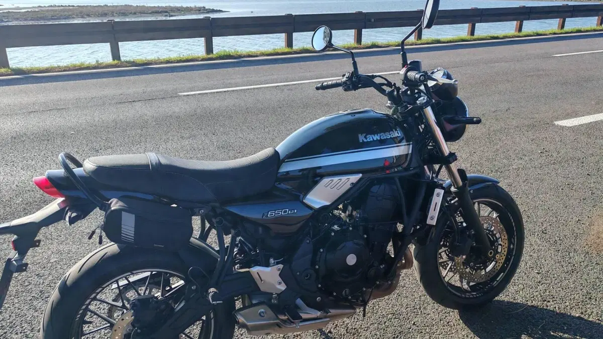 Kawasaki Z 650 RS (2022 - 24) 