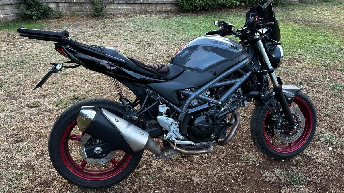 Suzuki SV650 (2021 - 24) 