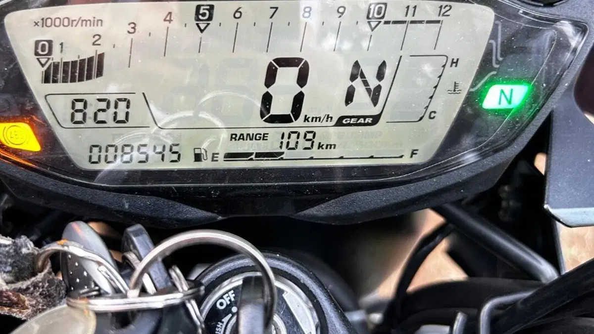 Suzuki SV650 (2021 - 24)  (4)
