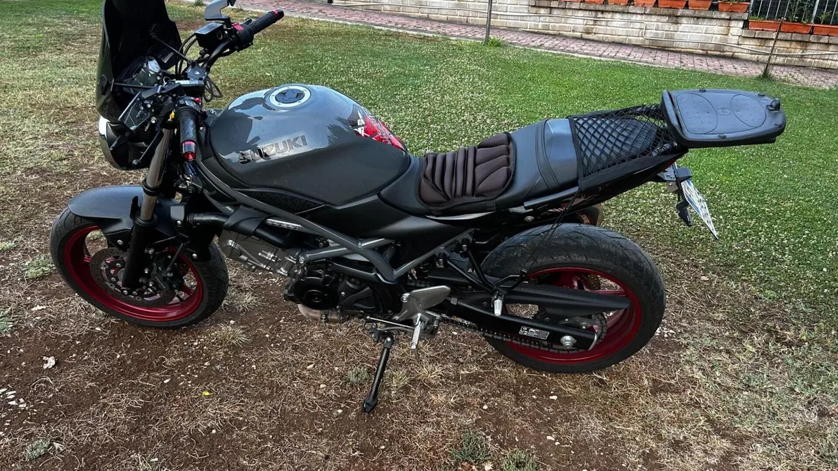 Suzuki SV650 (2021 - 24)  (5)
