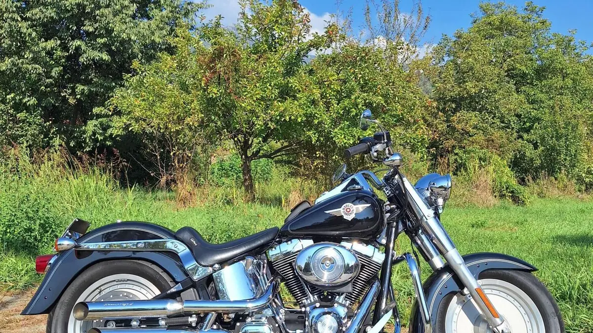 Harley-Davidson 1450 Fat Boy (2003 - 06) - FLSTFI  (2)