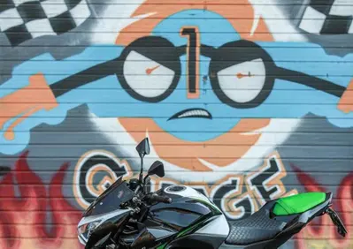 Kawasaki Z 800 (2012 - 13) - Annuncio 9986623