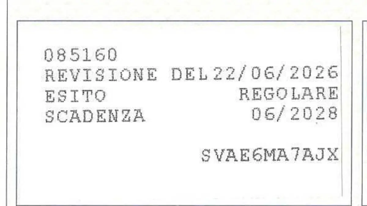 Piaggio Ciao 50 P  (10)