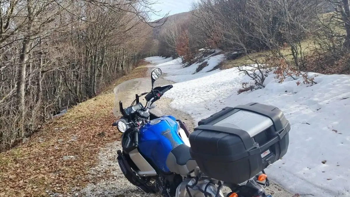 Yamaha XT1200Z Super Ténéré First Edition (2010 - 11)  (10)