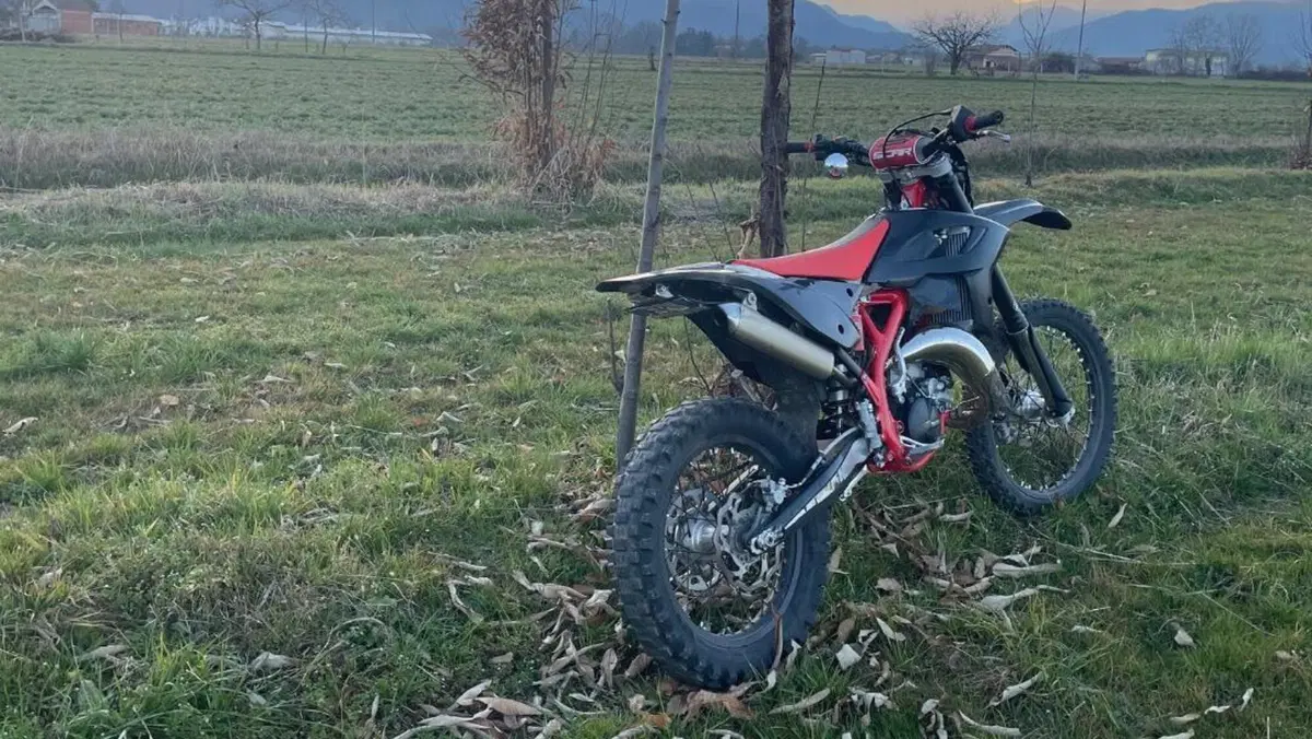 Betamotor RR 125 2T Enduro (2019)  (6)