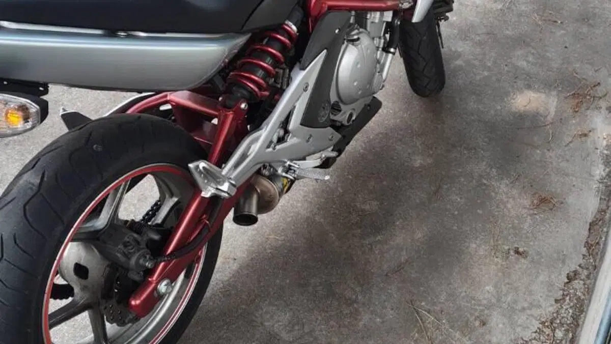Kawasaki ER-6N (2006 - 09)  (3)