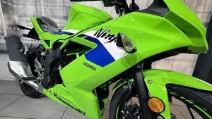 Kawasaki Ninja 125 (2025 - 26)  (5)