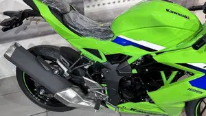 Kawasaki Ninja 125 (2025 - 26)  (6)