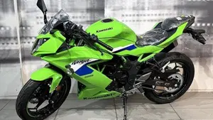 Kawasaki Ninja 125 (2025 - 26)  (7)