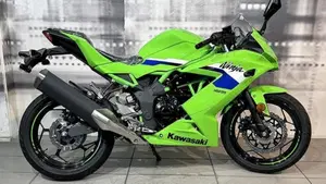 Kawasaki Ninja 125 (2025 - 26)  (8)