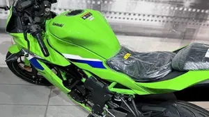 Kawasaki Ninja 125 (2025 - 26)  (9)