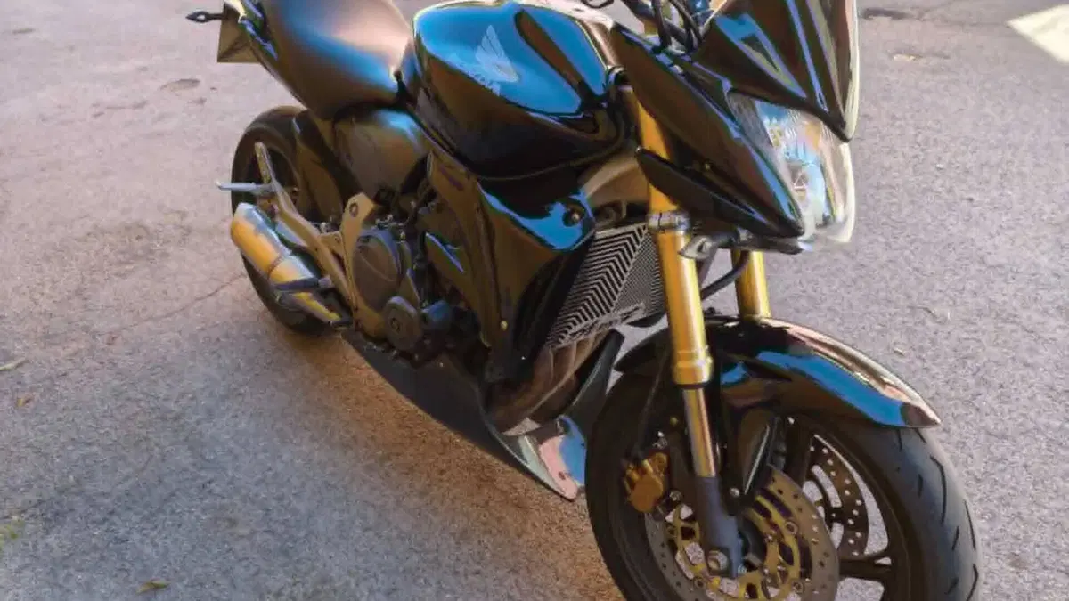 Honda Hornet 600 (2007 - 10) 