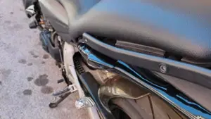 Honda Hornet 600 (2007 - 10)  (6)
