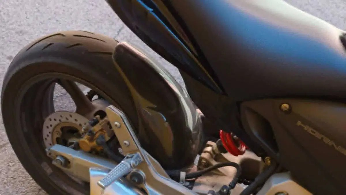 Honda Hornet 600 (2007 - 10)  (7)