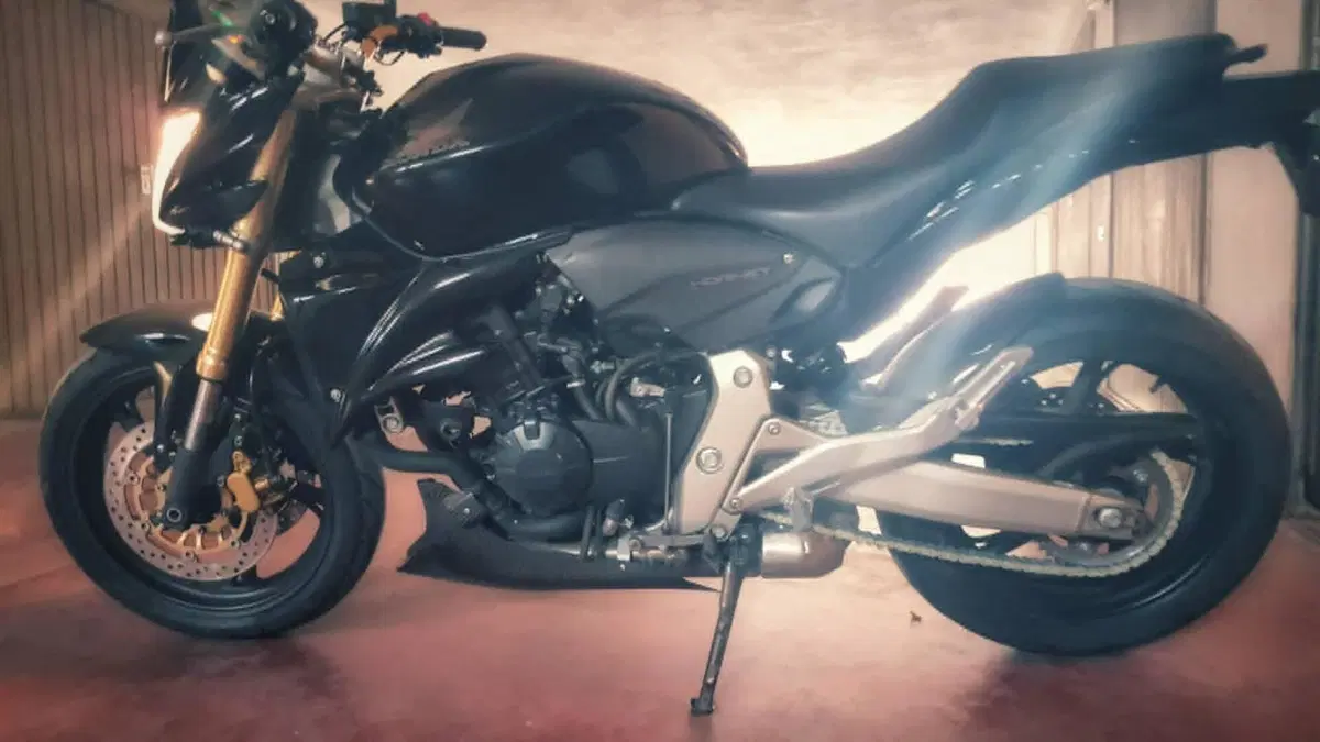 Honda Hornet 600 (2007 - 10)  (8)