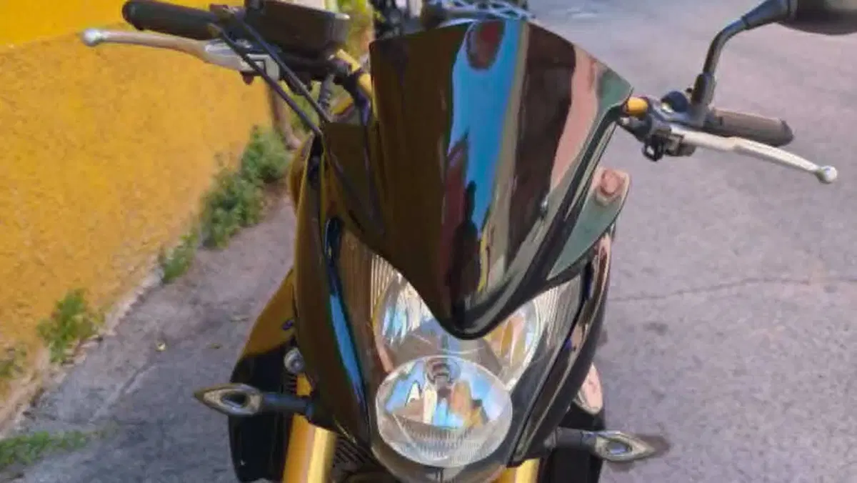 Honda Hornet 600 (2007 - 10)  (9)