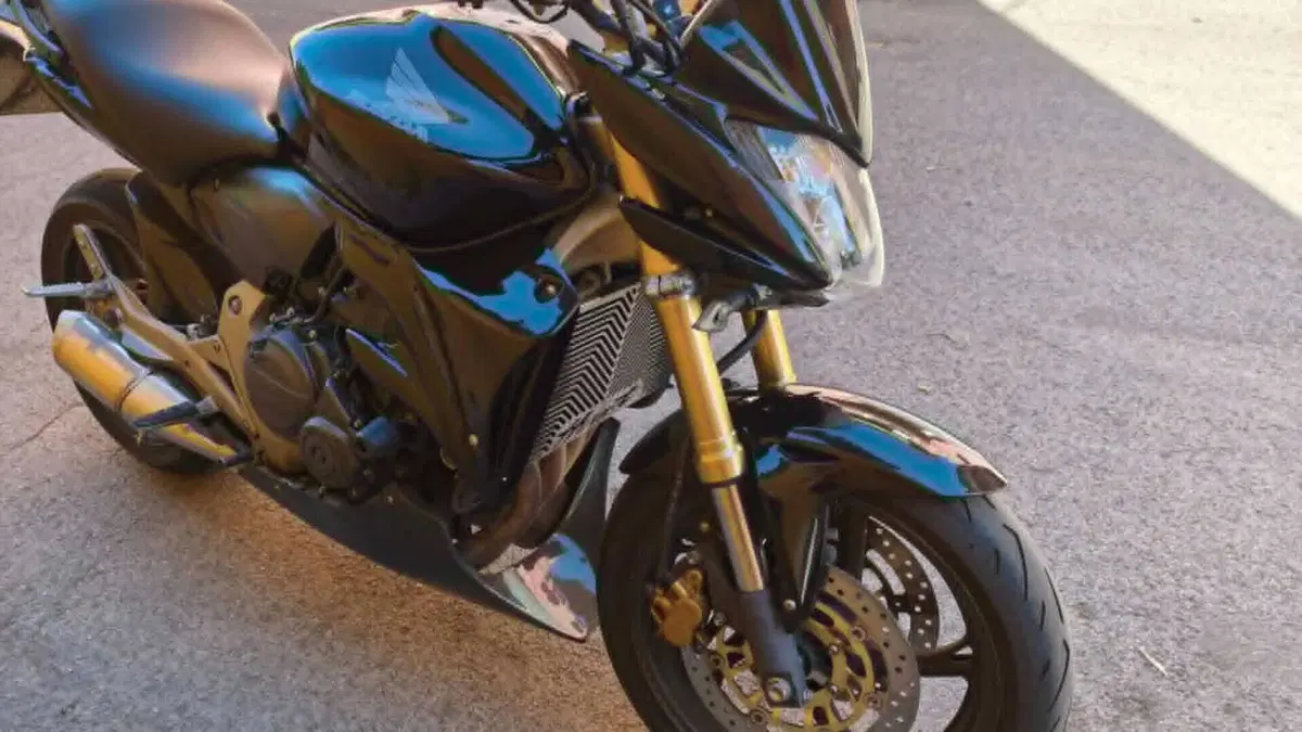 Honda Hornet 600 (2007 - 10)  (12)