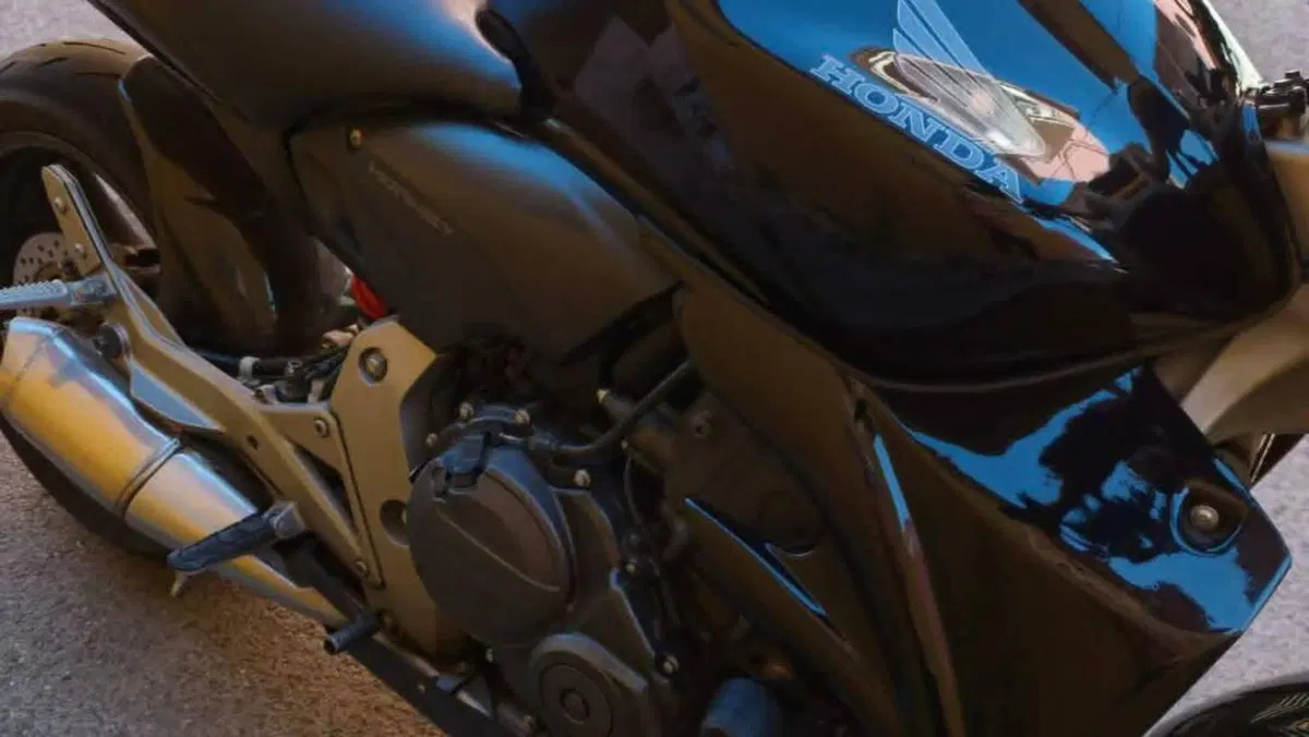 Honda Hornet 600 (2007 - 10)  (14)