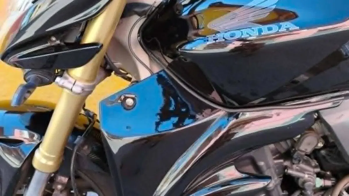 Honda Hornet 600 (2007 - 10)  (16)