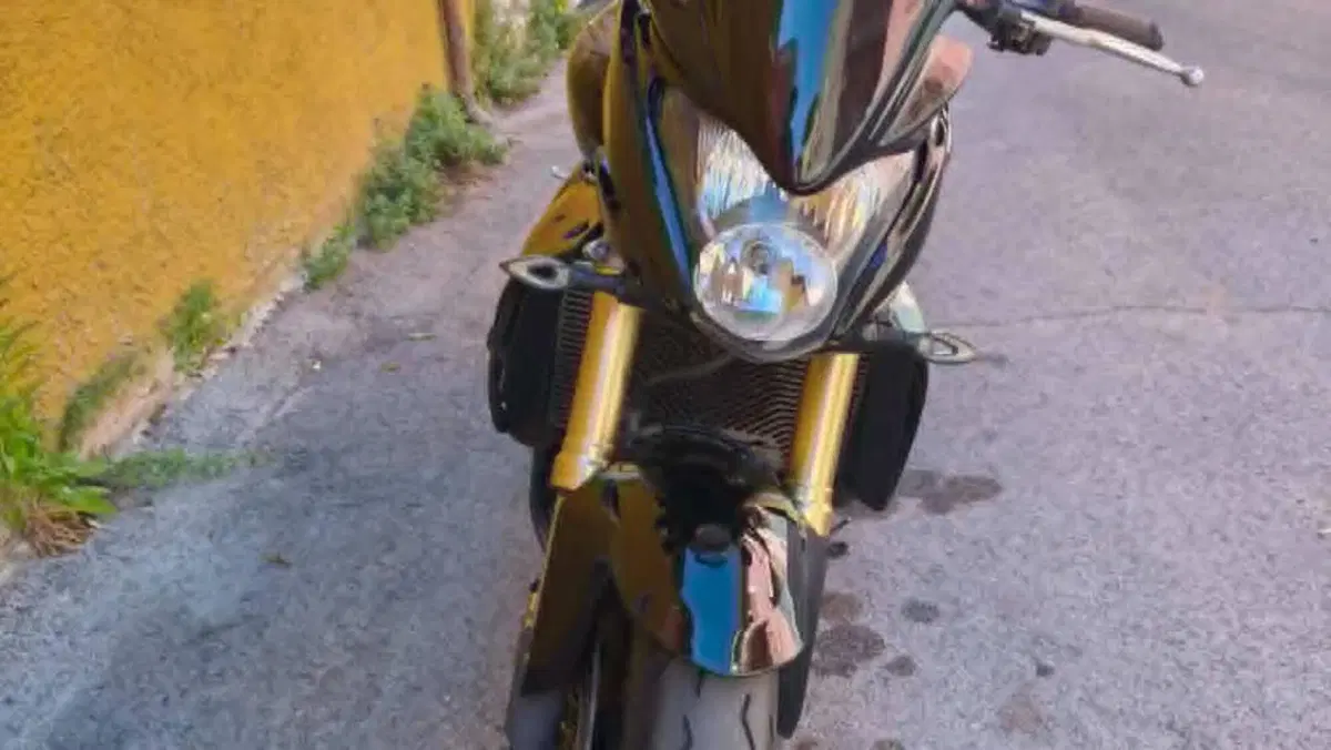 Honda Hornet 600 (2007 - 10)  (17)