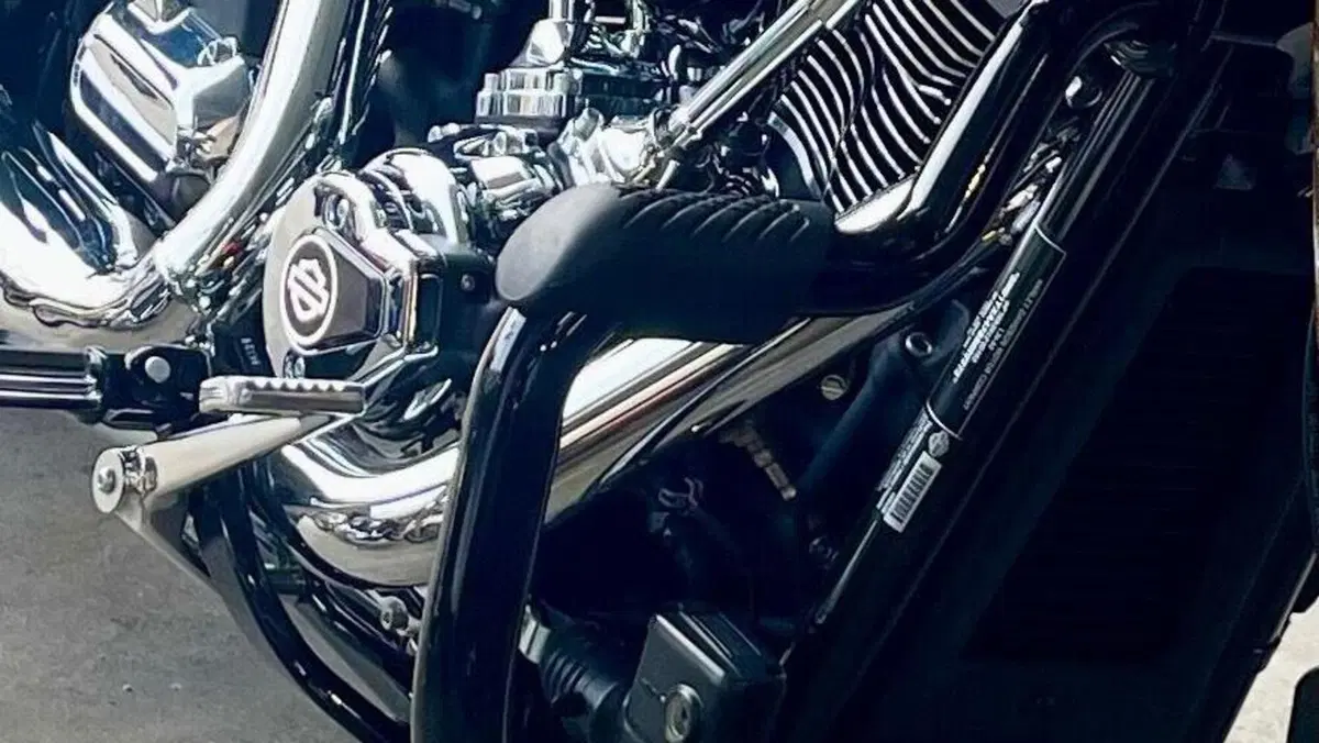 Harley-Davidson Low Rider ST (2025 - 26)  (2)