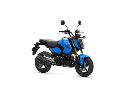 Honda MSX 125 Grom (2021 - 26) - Annuncio 9591545