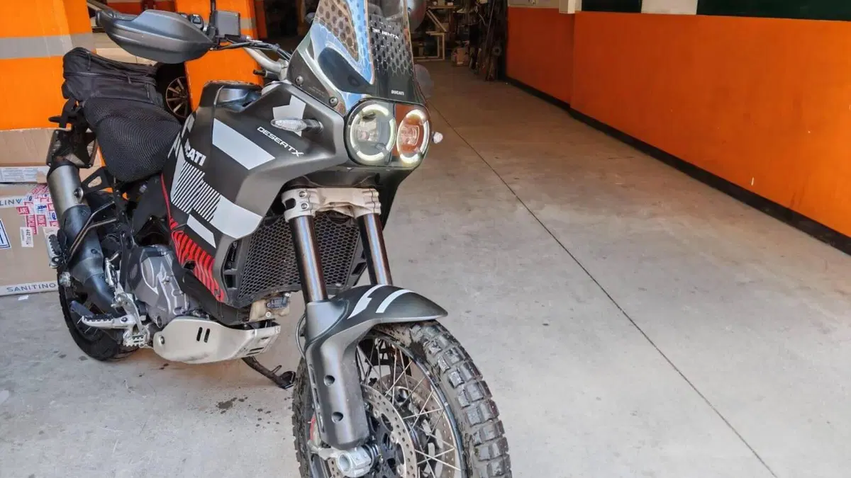 Ducati DesertX (2022 - 25)  (10)