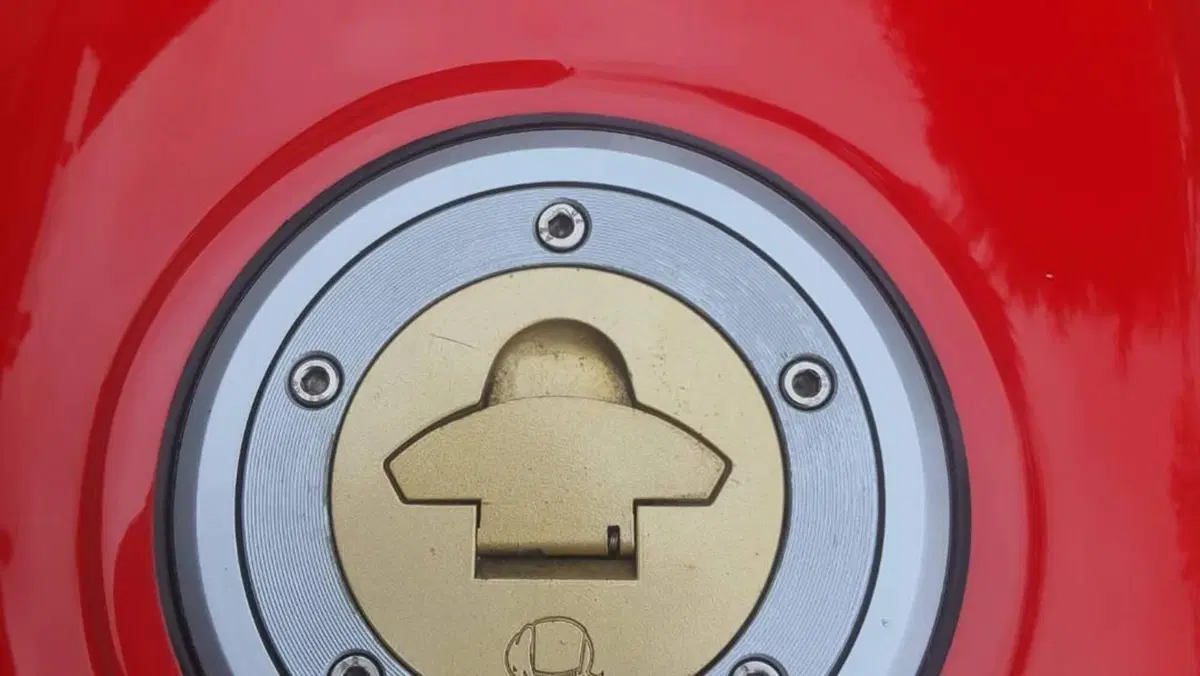 Ducati   (14)