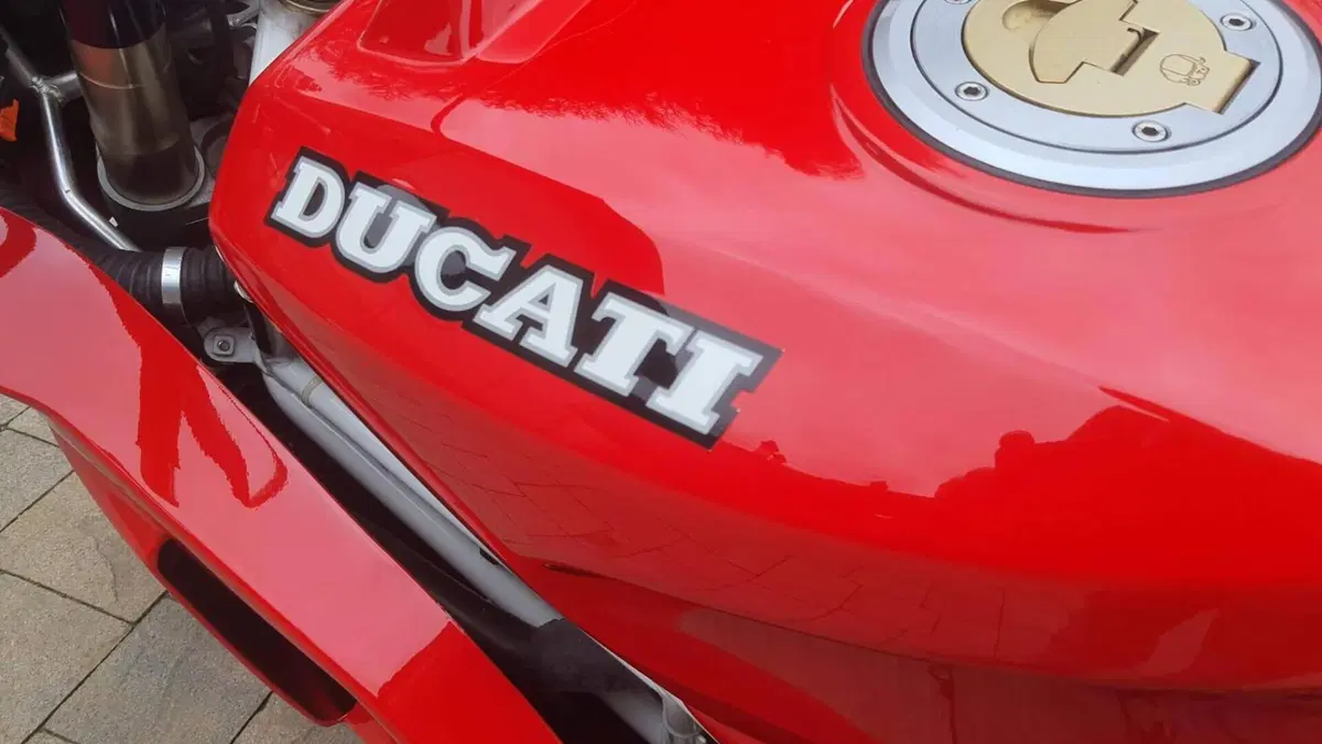 Ducati   (15)