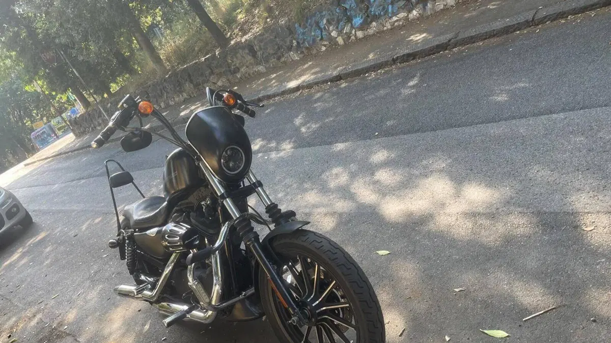 Harley-Davidson 883 Iron (2009 - 11) - XL 883N  (3)