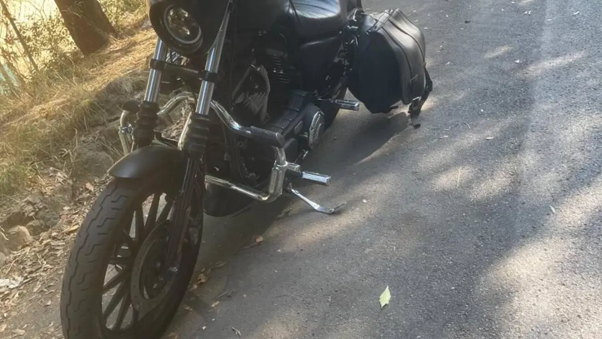 Harley-Davidson 883 Iron (2009 - 11) - XL 883N  (4)