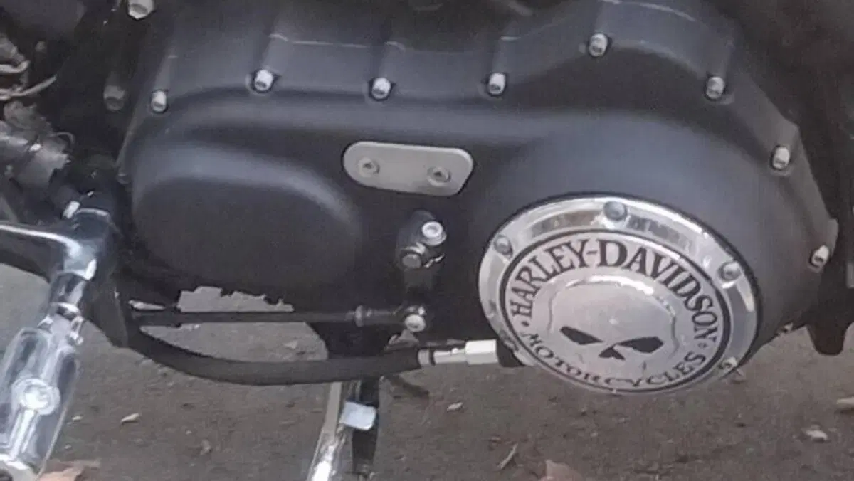 Harley-Davidson 883 Iron (2009 - 11) - XL 883N  (7)