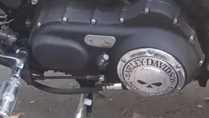 Harley-Davidson 883 Iron (2009 - 11) - XL 883N  (7)