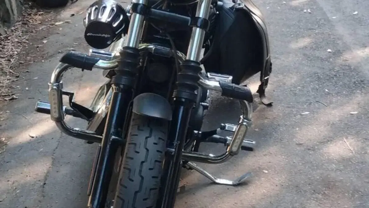 Harley-Davidson 883 Iron (2009 - 11) - XL 883N  (8)