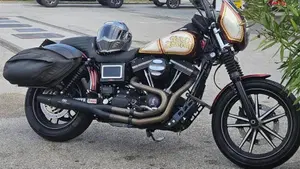 Harley-Davidson 1584 Street Bob (2008 - 15) - FXDB  (3)