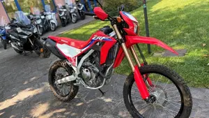 Honda CRF 300L (2021 - 24)  (2)