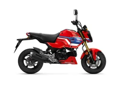 Honda MSX 125 Grom (2021 - 26) - Annuncio 10051321