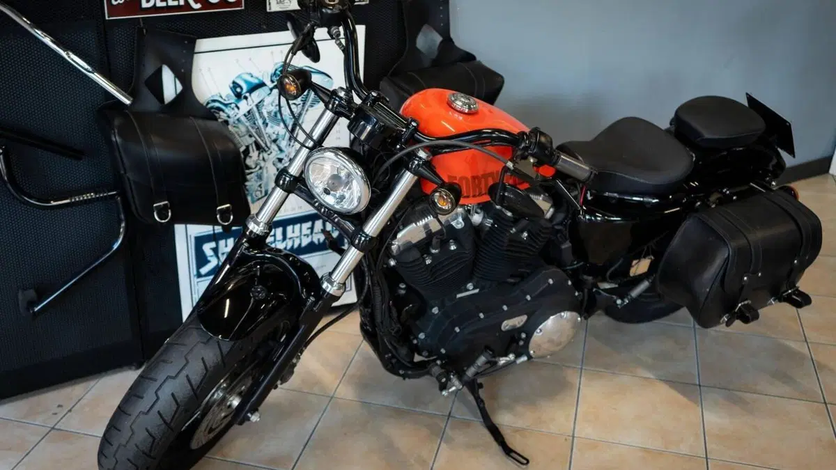 Harley-Davidson 1200 Forty-Eight (2010 - 15)  (4)