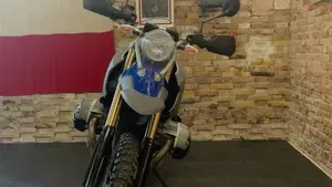 Bmw HP2 Enduro  (4)