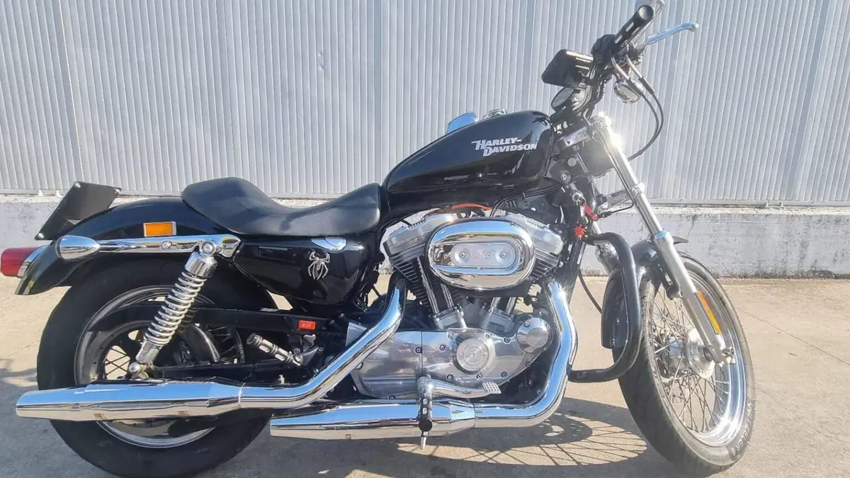 Harley-Davidson 883 (2008 - 09) - XL  (6)