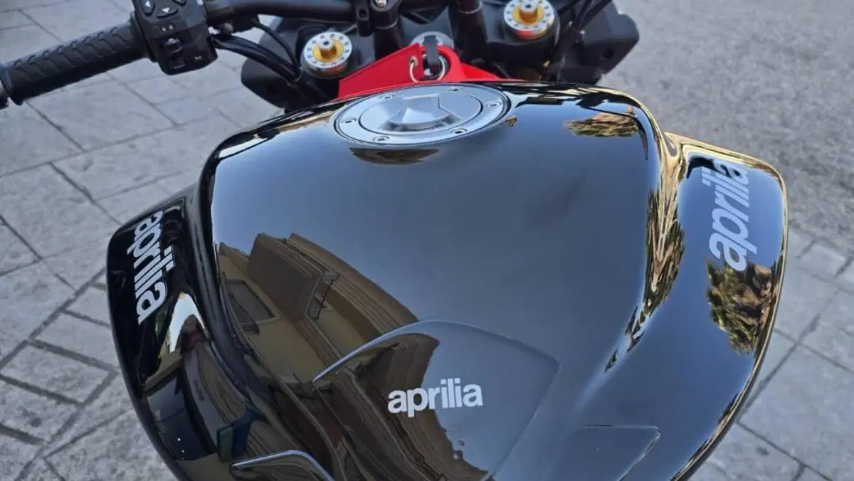 Aprilia Tuono 660 Factory (2025 - 26)  (6)