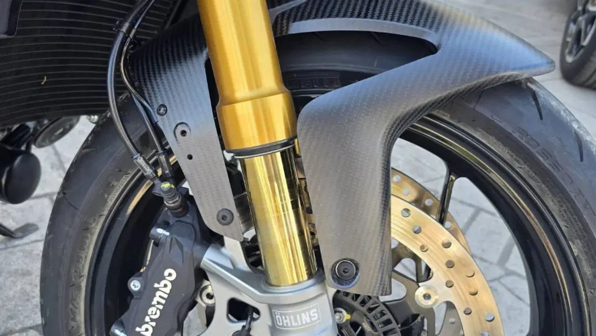 Aprilia Tuono 660 Factory (2025 - 26)  (4)
