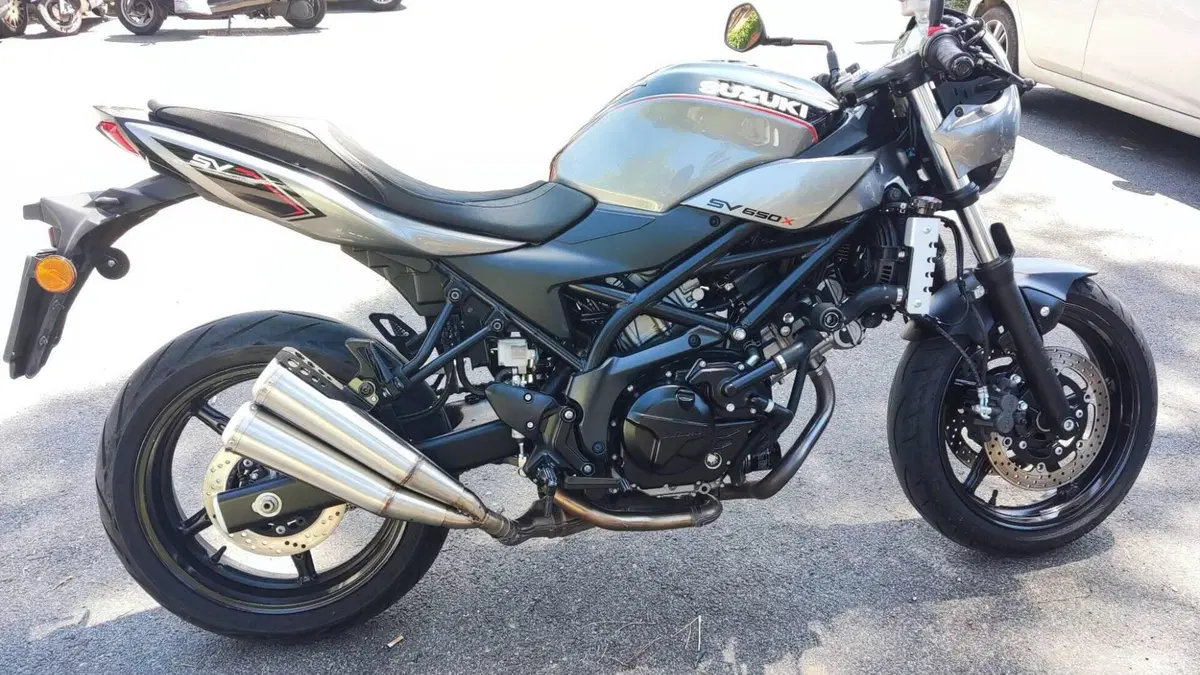 Suzuki SV 650 X (2018 - 20)  (2)