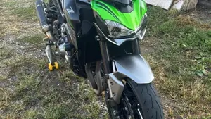Kawasaki Z 900 (2019)  (3)