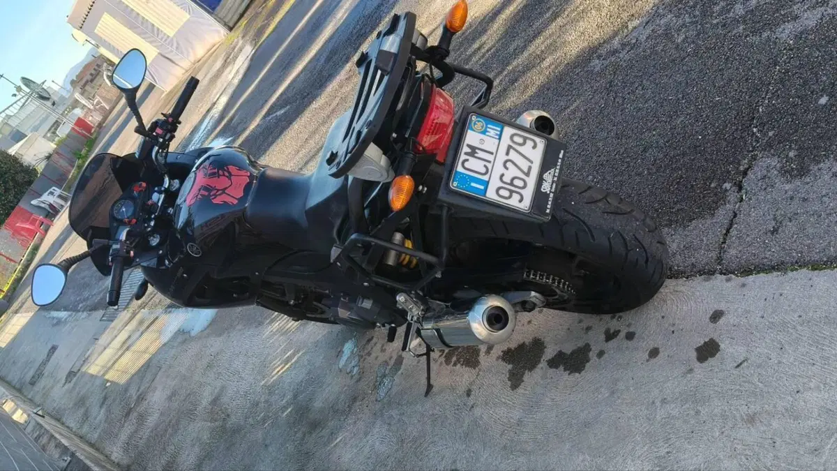 Yamaha TDM 900 (2002 - 14)  (5)
