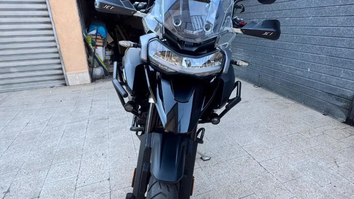 Triumph Tiger 1200 GT Pro (2022 - 23)  (4)