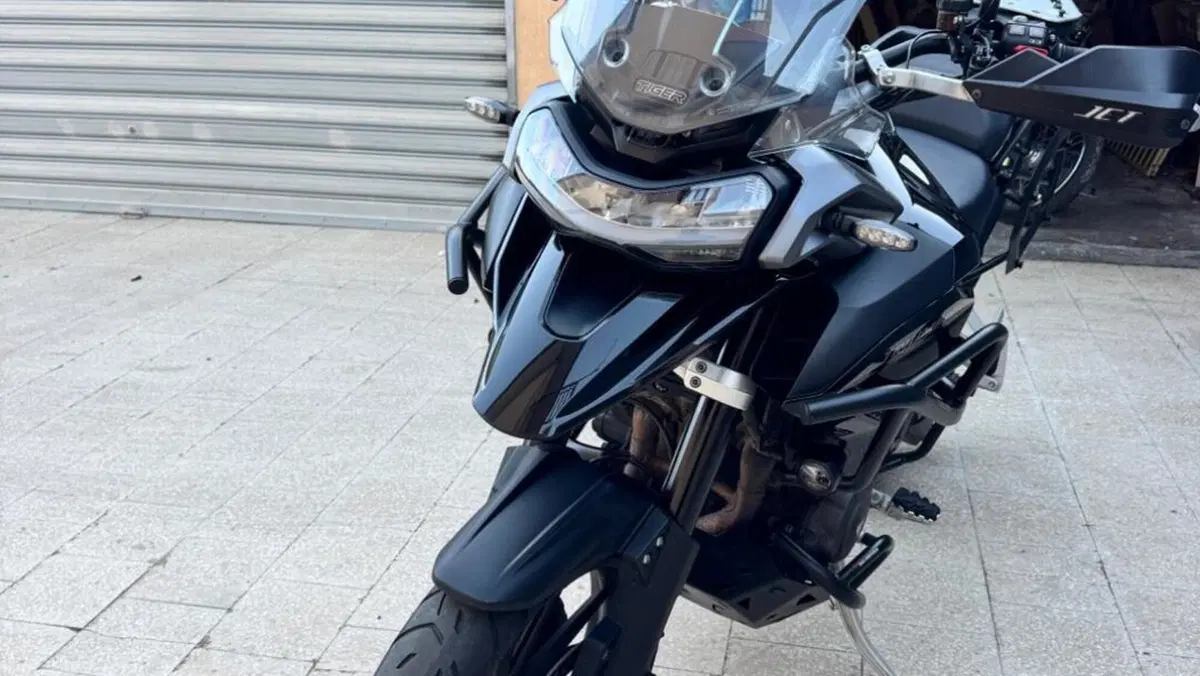 Triumph Tiger 1200 GT Pro (2022 - 23)  (7)